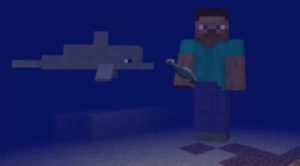 delphin-minecraft