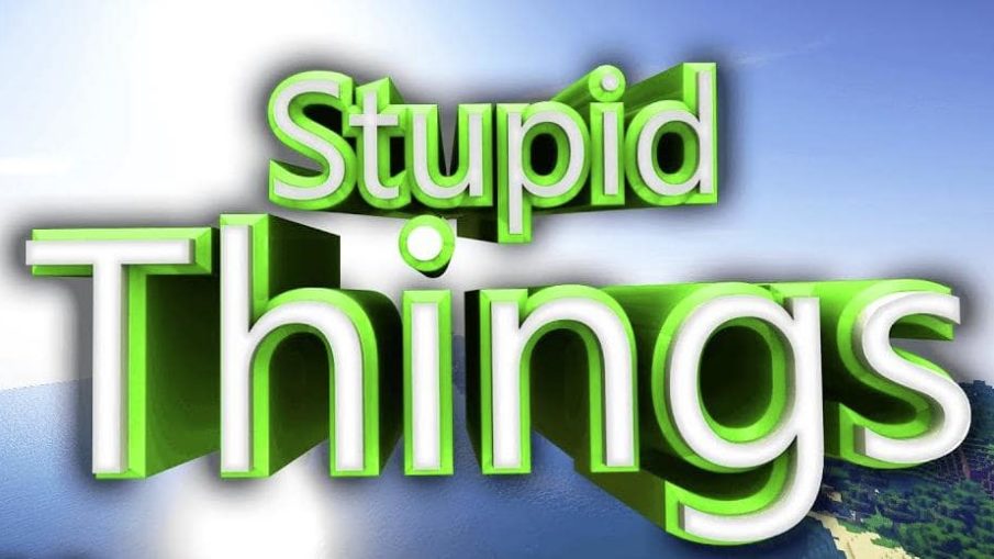 Stupid Things minecraft